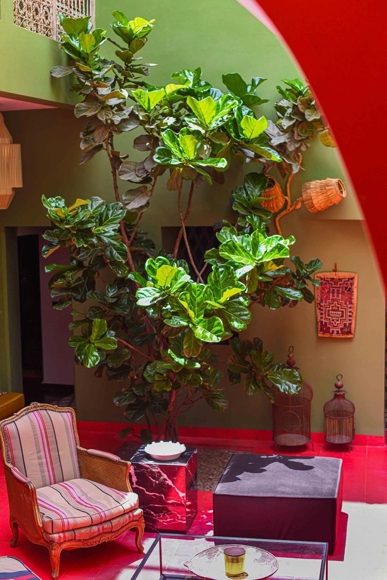 מלון מרקש Riad Olive Privatif 4 Personnes מראה חיצוני תמונה